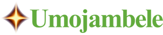 dark logo